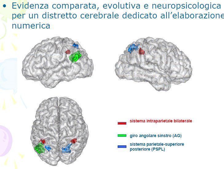 E possibile identificare un