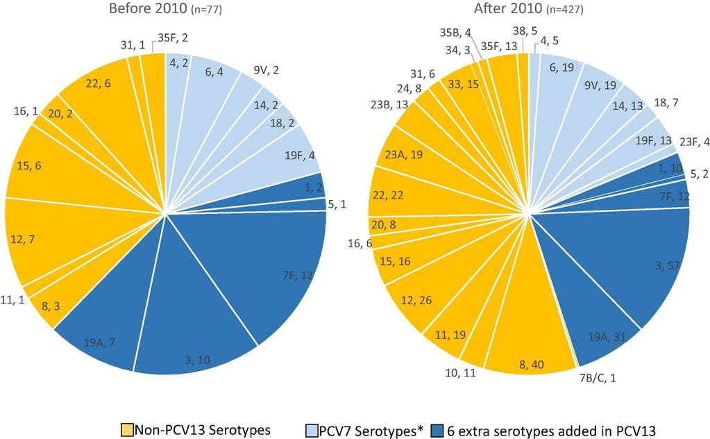 Potenziale copertura dei ceppi di Pneumococco isolati nel periodo aprile 2006-giugno 2016 in 504