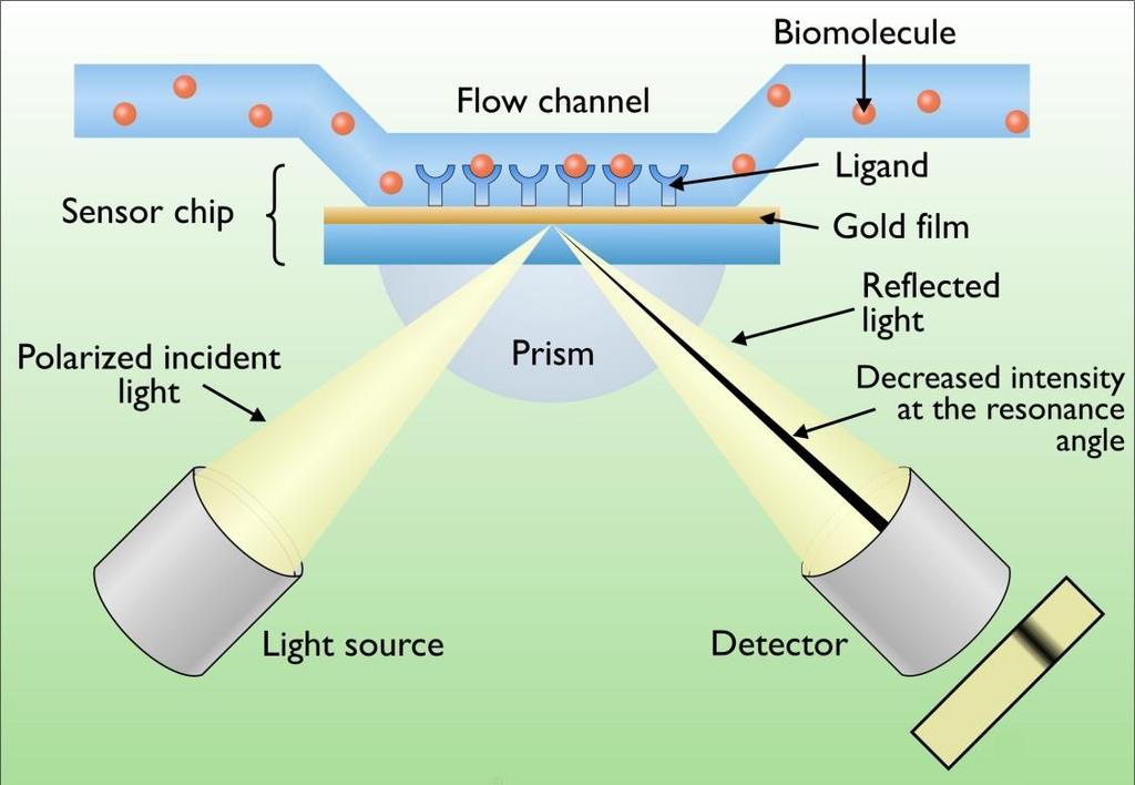 Biosensori basati sulla Risonanza Plasmonica di Superficie (SPR) Strumenti SPR