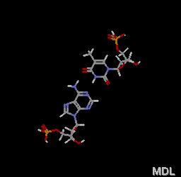 Legame idrogeno nel DNA AT GC Provate a spiegare perché qui non c è