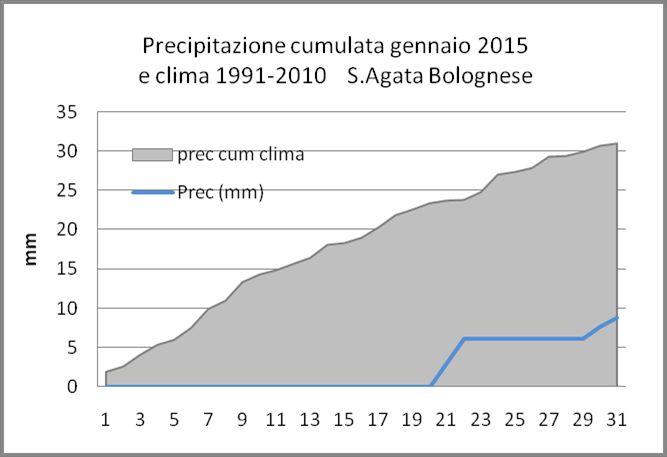 Fase fenologica del frumento in forte anticipo, stimati tra 30 e 40 giorni rispetto alle ultime 5 annate.