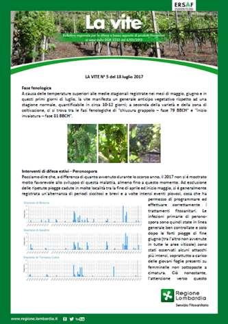 Progetto TRAINAGRO I sistemi di informazione della