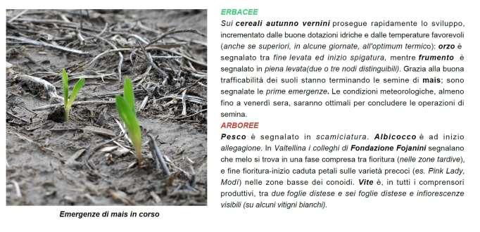 Dati metereologici Agrometeosettimana Nella sezione agronomica sono