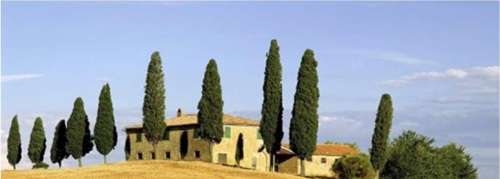 that the ingredients used to create the dishes come from small farms and are part of the "Tuscany