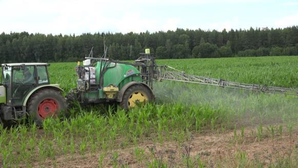 BUONE PRATICHE AGRICOLE per la prevenzione e riduzione delle tossine di Fusarium in cereali Uso di semi certificati - non contaminati da funghi tossigeni Rotazione delle colture - Evitare il mais