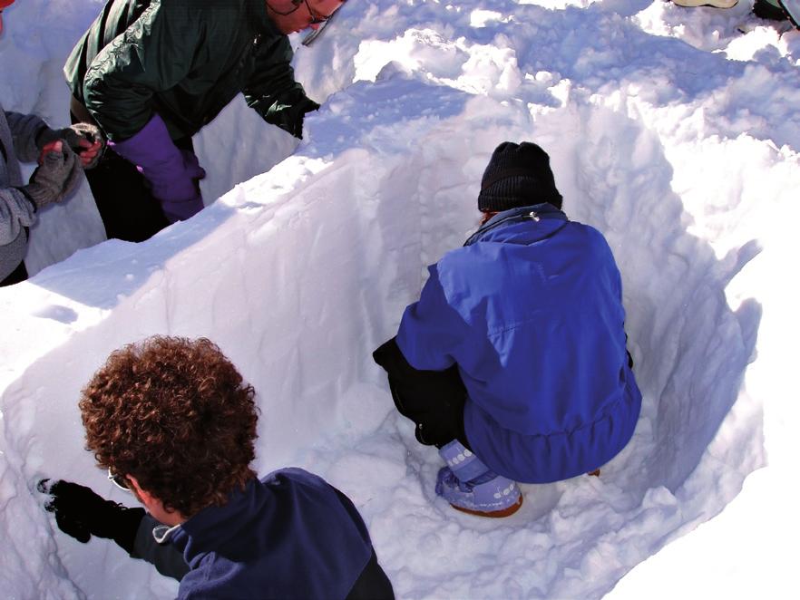 CAI Busto Arsizio, Castellanza, Legnano, Parabiago, Saronno REGOLAMENTO DEL CORSO DI NEVE E VALANGHE L iscrizione al Corso è aperta solo a tutti i Soci del CAI (per avere copertura assicurativa per