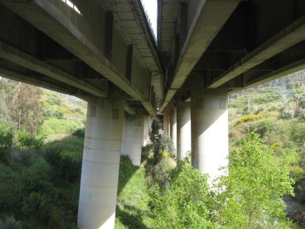 Al fine di effettuare una perimetrazione quanto più realistica del dissesto che ha coinvolto il viadotto, si è utilizzata una copia fotografica mosaicata dell area, fornita dall Università Kore di