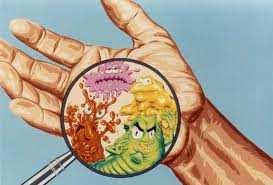 Le mani si caricano di microrganismi