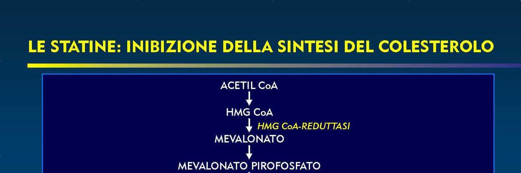 STATINE Le statine sono un gruppo di molecole sintetizzate sul modello di un metabolita fungino (mevastatina) la cui attività farmacologica fu scoperta nel 1975.