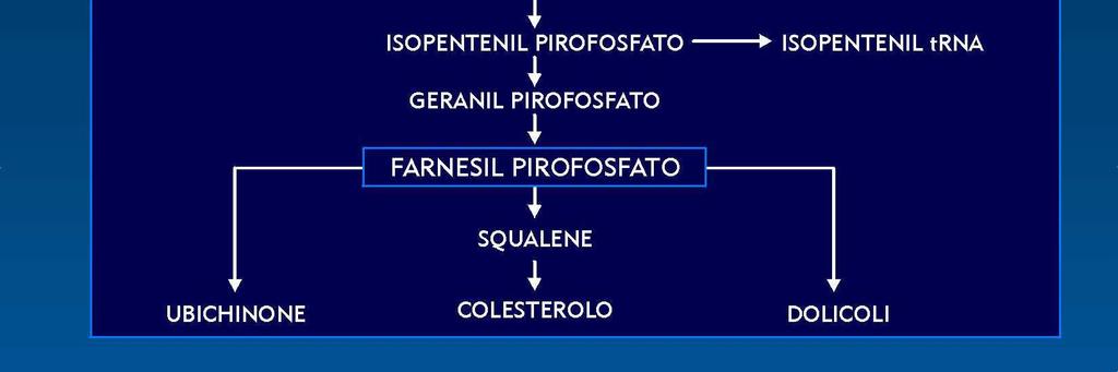 colesterolo da parte delle cellule epatiche La conseguente ridotta disponibilità di colesterolo endogeno (così detto per distinguerlo da quello esogeno di origine alimentare) spinge gli epatociti a