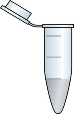 PCR Multipla per del 95% degli eventi OGM consentiti Promotore artificiale Terminatore 35s T- Nos PCR degli