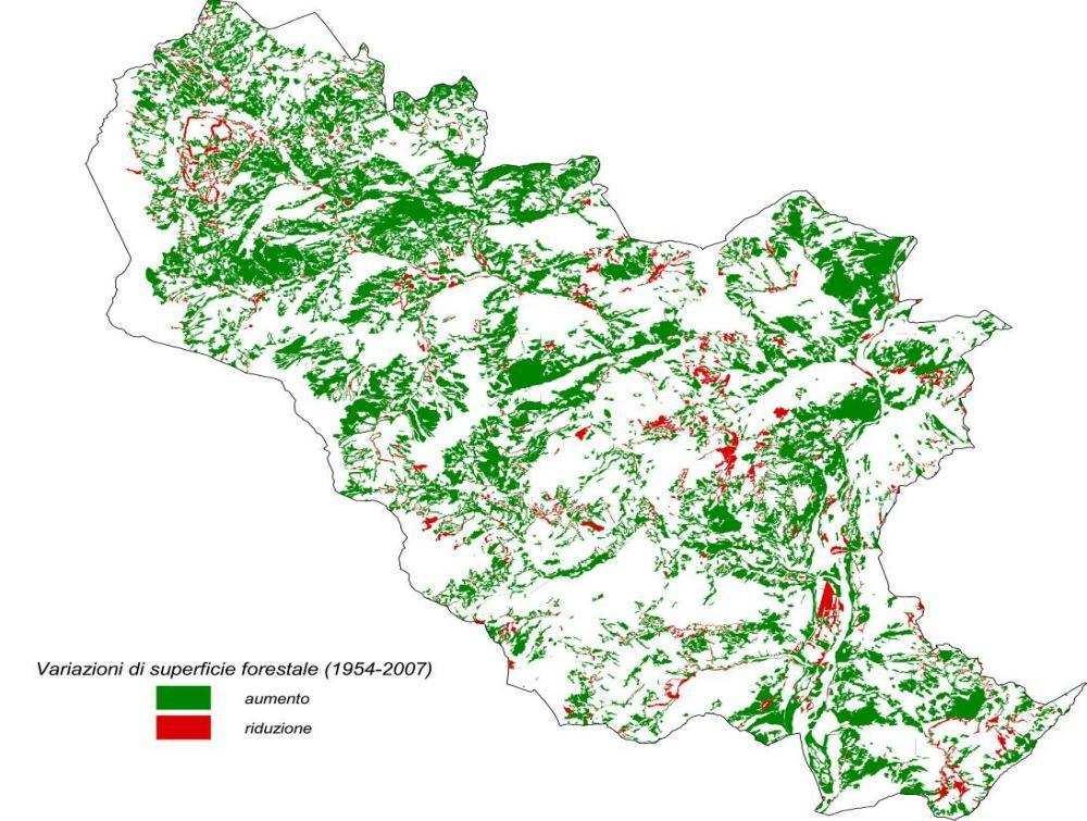 superficie forestale nel periodo 1954-2007.