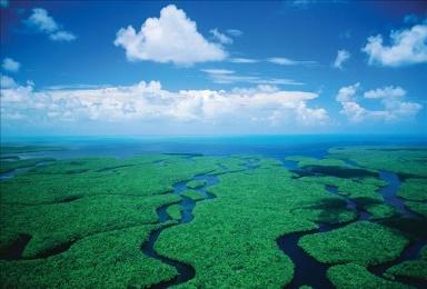 Everglades - Naples Mattina: sveglia presto e partenze per Everglades National