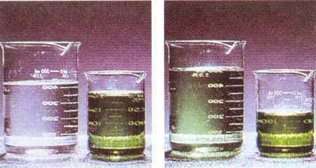 MISCUGLI MISCUGLI o MISCELE: sono porzioni di materia comprendenti più sostanze MISCUGLI OMOGENEI