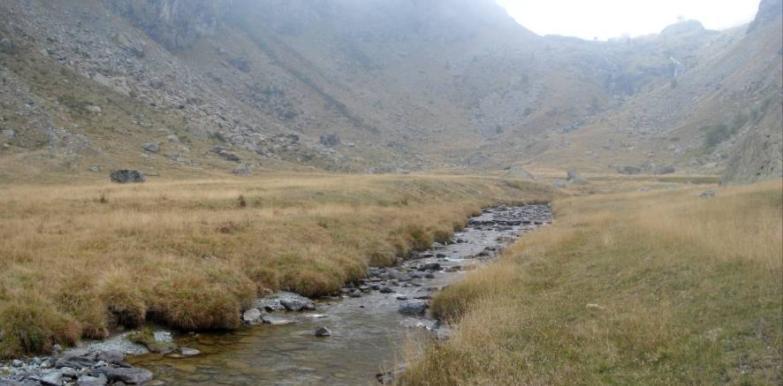 Dalla zona di Pian Melzè verso monte il fiume attraversa prato- pascoli e le rive sono caratterizzate