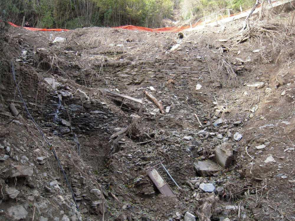 L erosione con conseguente trasporto solido della scarpata interessa una lunghezza di circa 25,00 m.