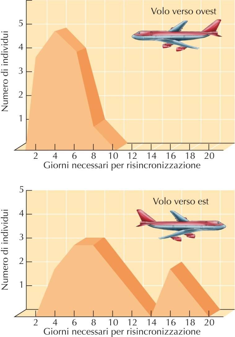 Nella maggior parte delle persone il punto più basso