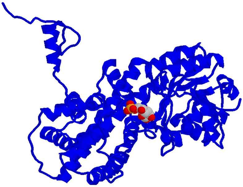 Da glucoso-6-fosfato (6C) a ribuloso-5-fosfato (5C) La fosfogluconato deidrogenasi (EC1.1.1.44) catalizza la decarbossilazione ossidativa del 6-fosfogluconato.