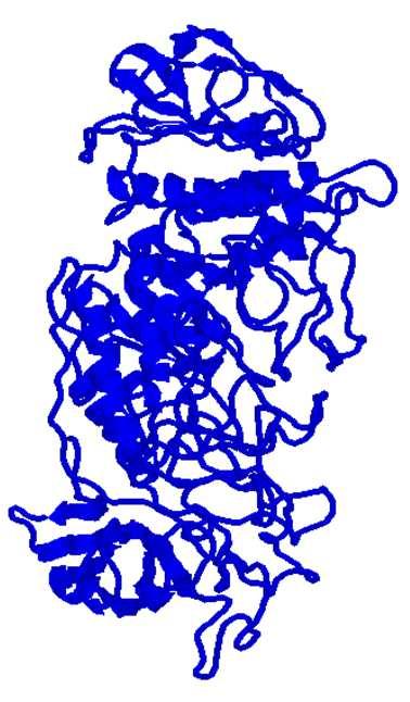 1 gsartor 2001-2018 ucleotidi e coenzimi 187 Enzima deramificante EC3.2.1.68 oiché la glicogeno fosforilasi non riesce a scindere tutti i legami 1α 4 e 1α 6 interviene l enzima