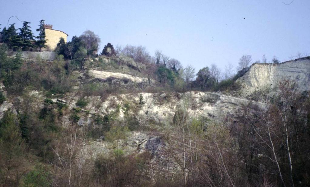 La successione della Colma: Pietra da Cantoni e Marne di Mincengo circa 20-12