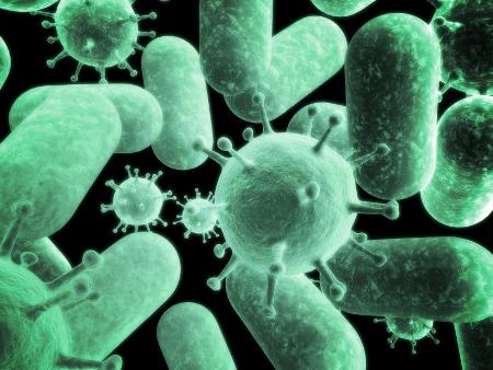 www.bacterialinfection.