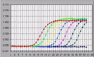 Fluorescenza Curve di amplificazione Plot lineare Cicli di amplificazione Per ogni campione si ottiene una