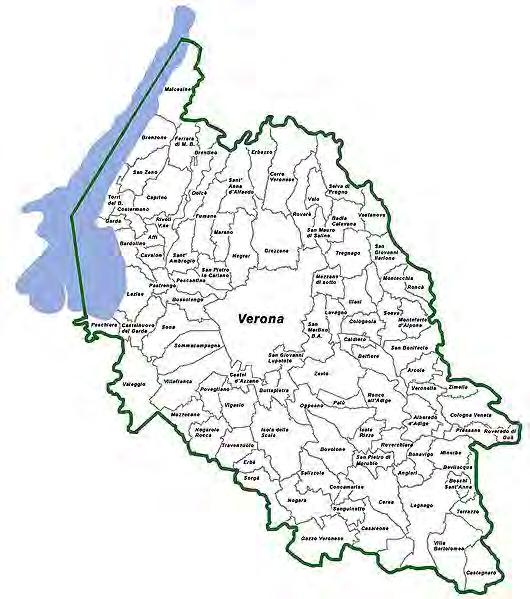 Distribuzione sul territorio Si conferma che l area interessata dal fenomeno riguarda la zona di produzione ad ovest di Verona. Alcune recenti segnalazioni in zone diverse.