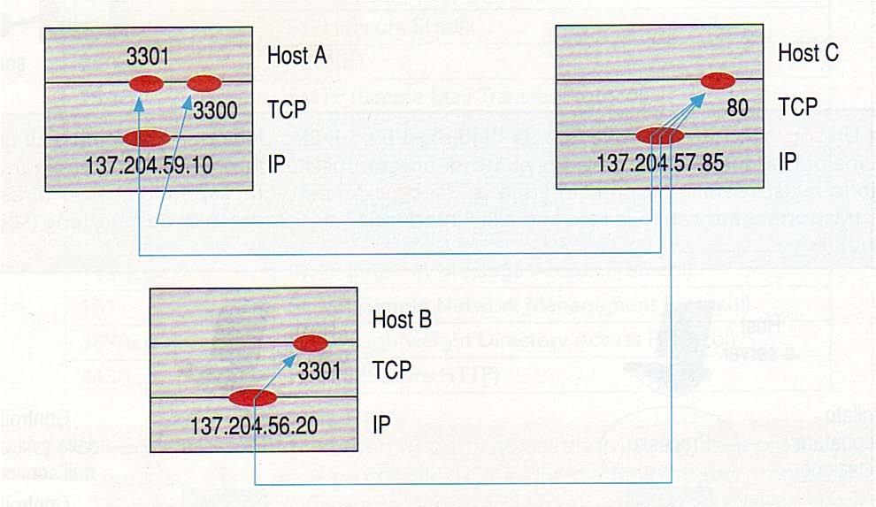 Esempio Sull host A ci sono due applicazioni attive rispettivamente sulle porte 3301 e 3300 e richiedono entrambe un servizio HTTP all host C. Host A: <137.204.59.