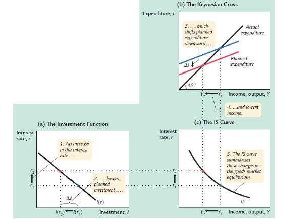 Derivazione grafica della IS (approccio Mankiw)