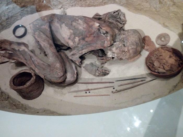 Dopo Roberta e Maddalena ci hanno spiegato che anche dentro al sarcofago il corpo non si manteneva intatto, quindi gli Egizi cominciarono a praticare l IMBALSAMAZIONE.