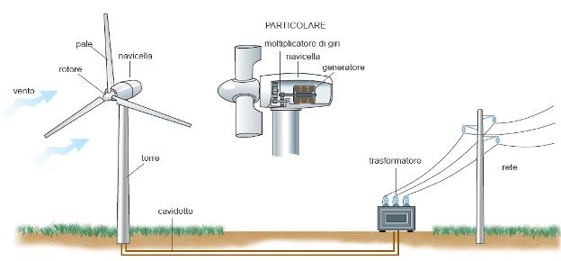 annua a 75 metri s.l.t./s.