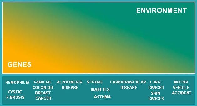 Suscettibilita genetica e ambiente influenzano in modo variabile la comparsa delle malattie parodontite