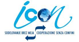 L individuazione dei mercati esteri di riferimento per le ragioni statistiche slovene e le provincie italiane interessate al progetto ICON ha comportato una serie di fasi standard ma necessarie all