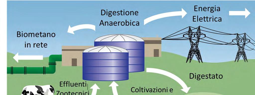 Modello BiogasDONERIGHT Rotazioni e colture sequenziali: aumentare l efficienza di utilizzo del