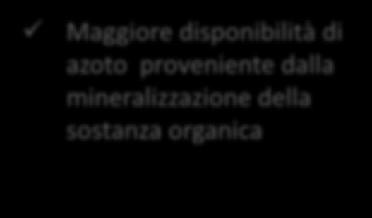 quindi una maggiore restituzione minerale Valorizzazione nel corso