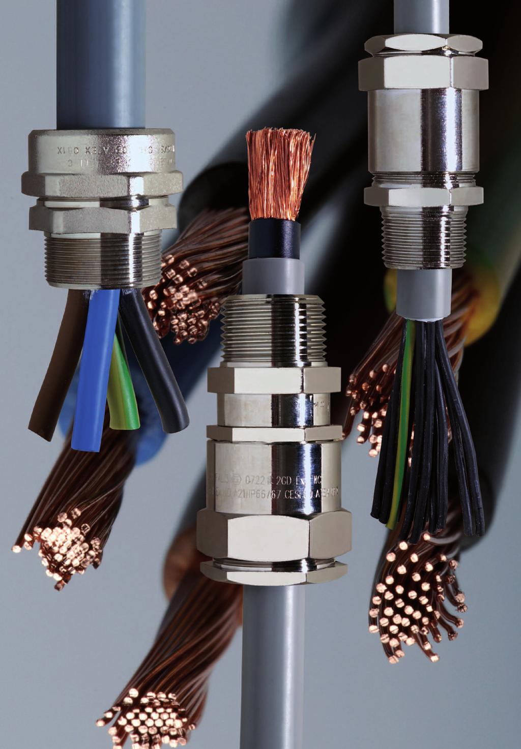 Pressacavi Ex-proof Cable glands Ex-proof Per maggiori informazioni e dettagli tecnici visitare il sito www.