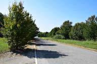 con la strada e da qui attraversare la strada e proseguire verso sinistra (foto 25) su carreggiata stradale (seguendo le indicazioni dell itinerario 1).