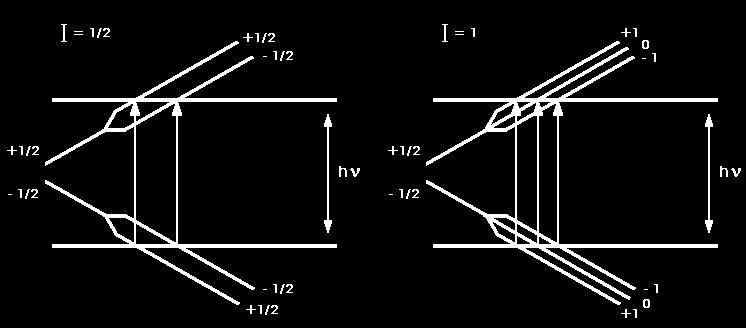 mentre nuclei con numero di massa pari e carica nucleare pari sono privi di momento magnetico nucleare avendo un numero quantico di spin nullo: I = 0 per 12, 16, 32 S, etc.