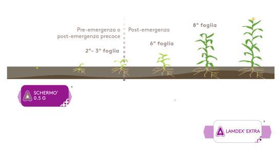 Distribuito da Adama Itali