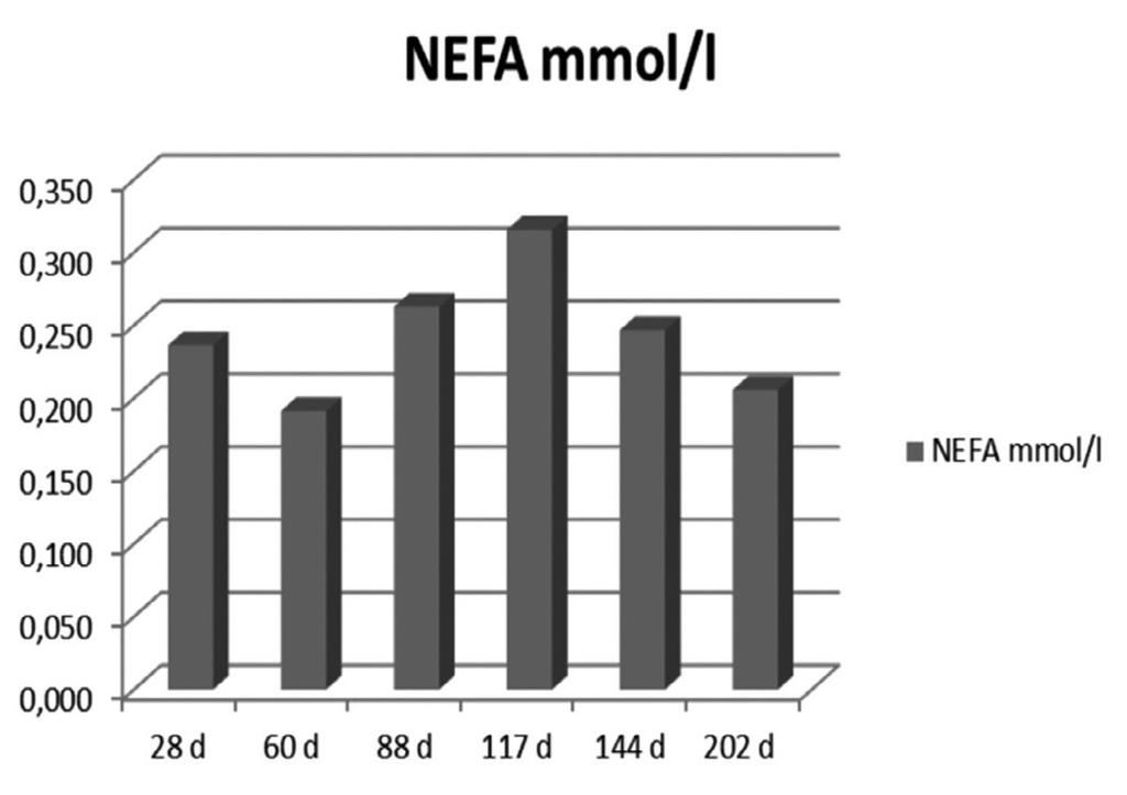 54 Buiatria. Journal of the Italian Association for Buiatrics vol. 7 - n.