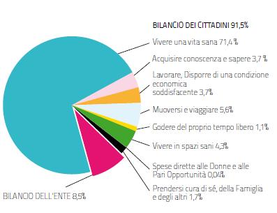 Regione Piemonte Impegnato a consuntivo 2010 per capacità Fonte: