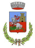 COMUNE DI CASTEL SAN GIORGIO Provincia di Salerno REGOLAMENTO DELLE SPESE DI