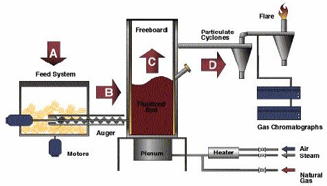 Energia da biomasse La