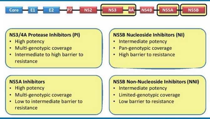 Potenza Spettro d azione Barriera genetica Simeprevir Paritaprevir