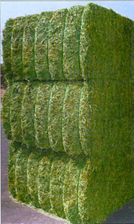 Alfalfa composition & diets 5 cut -Sept2012 High Digestibility(HD) High Forage Diet (High) Low