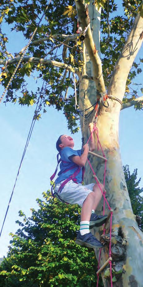 Conoscere gli alberi attraverso l'attività di educazione ambientale La Over Trees promuove incontri di educazione ambientale coinvolgendo