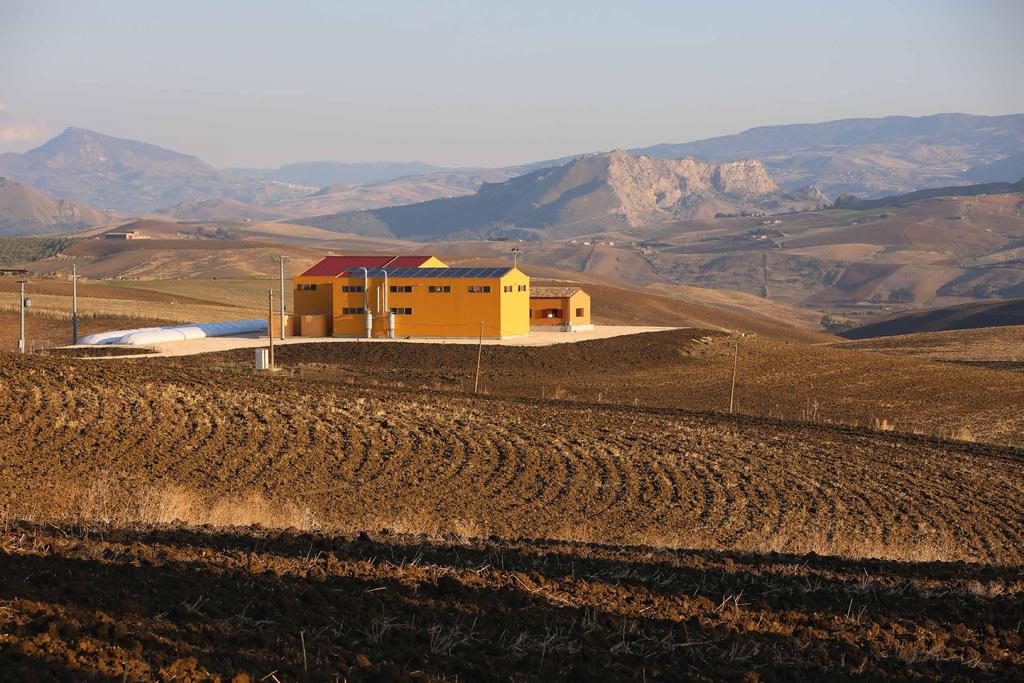 L azienda The farm L azienda, estesa circa 270 ettari, coltiva e produce grano duro, ceci, lenticchie, sulla e altre foraggere.