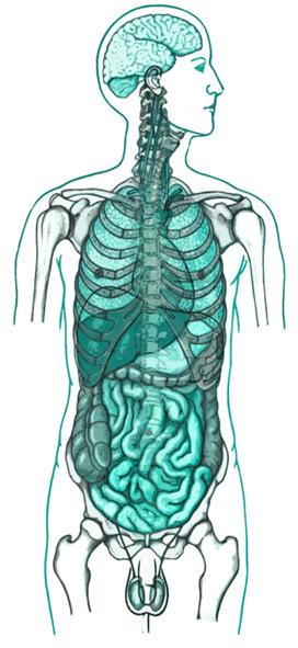 SABR: treatable metastatic sites