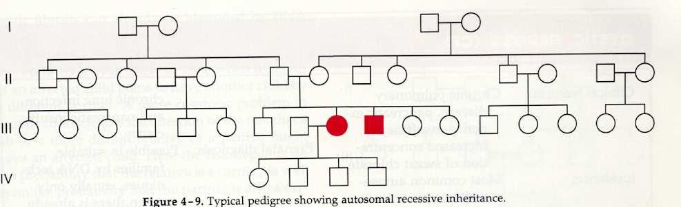 Albero genealogico per un carattere AR Se vi sono più affetti nell albero genealogico sono