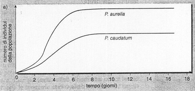 3. Il fatto che il grafico a destra mostri la presenza di imenotteri parassiti indica che: a) Alcuni parassiti non vengono mangiati dalle mosche. b) Non tutte le mosche sono resistenti ai parassiti.